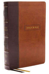 Christian Books KJV AV Bible